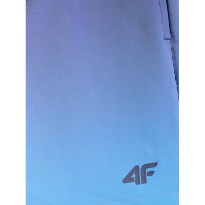 15. Herren-Boardshorts 4F 4FRSS26UBDSM224-31S