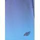 15. Herren-Boardshorts 4F 4FRSS26UBDSM224-31S