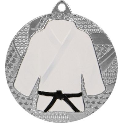 Silbermedaille Judo/Karate