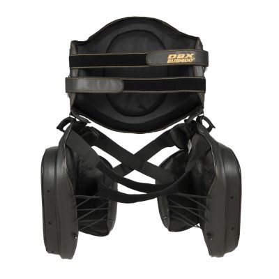 3. ProFighter Trainer's Torso- und Oberschenkelschutz-Set