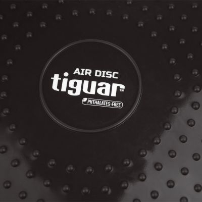 5. Tiguar-Scheibe (Luftscheibe) - Graphit