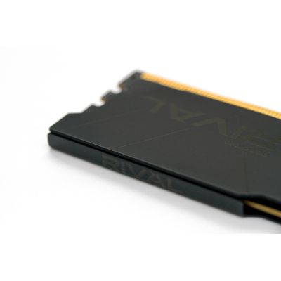 8. DDR4 8 GB 3600 MHz UDIMM goodram RIVAL Tiefschwarz