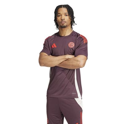 Adidas FC Bayern Training JSY M IS9935 T-Shirt