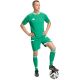 7. adidas Tiro 26 Competition Match Day Shorts für Herren, Grün, KA6175