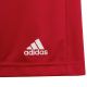 14. adidas Entrada 22 Jr H57501 Shorts