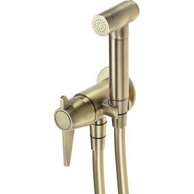 Verdeckter Bidet-Wasserhahn mit Bidet-Duschkopf