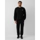 Herren-Jogginghose 4F 4FRAW26TTROM2176-20S