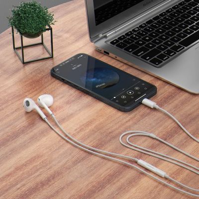 3. Dudao In-Ear-Kopfhörer mit USB-Typ-C-Anschluss weiß (X14PROT)