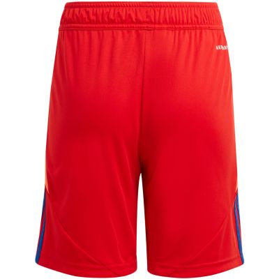 7. adidas Tiro 24 Jr IT2422 Shorts