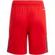 7. adidas Tiro 24 Jr IT2422 Shorts