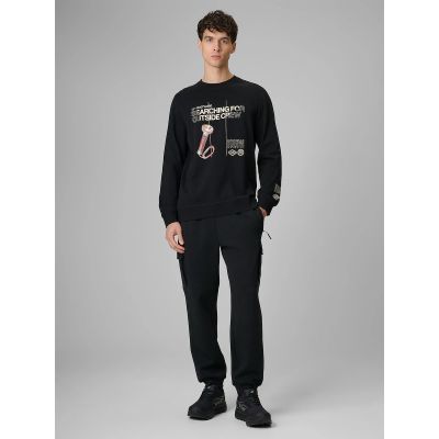 6. Herren Langarmshirt mit Print, regulär, Größe 4F 4FRSS26TLONM674-20S