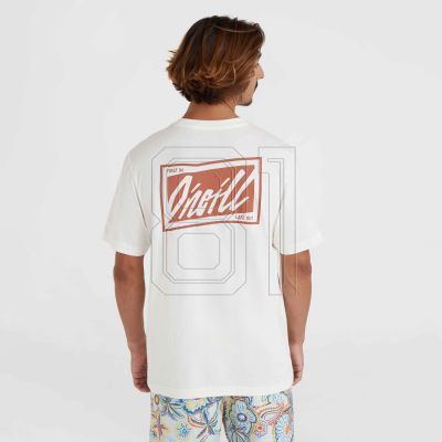 5. O'Neill Beach Graphic T-Shirt M 92800613968
