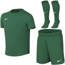 Nike Dri-Fit Park VIII grünes HV8260 302 Kinder-Sportset