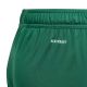 6. adidas Tiro 24 Jr IT2409 Shorts