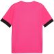 2. Puma teamGoal Spieltagstrikot M 705747 27