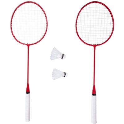 17. DONNAY 5-IN-1 Strand- und Garten-Badmintonset