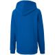 6. Puma teamGOAL 23 Casuals Hoody Jr 656711 02 Sweatshirt
