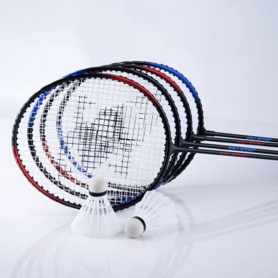11. SMJ Sport TL001 Badminton-Set