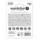 2. everActive EVHRL6-2000 Akku (2000mAh ; Ni-MH)