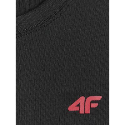 4. Normales Herren-T-Shirt 4F 4FWMM00TTSHM3341-020S