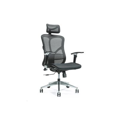 3. Ergonomischer Bürostuhl ERGO 500 schwarz
