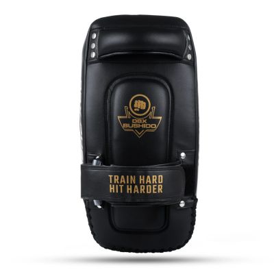 6. PAO Gold Thai Shields Paar | ProFighter | DBX Bushido