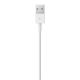 3. Apple Lightning-auf-USB-Kabel (2 m) MD819ZM/A