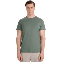 Herren T-Shirt 4F M2441 grün 4FWAW25TTSHM2441 41S