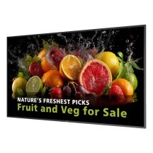 Philips Digital Signage-Display der Serie 5000, Modell 65BDL5050D/00, 165,1 cm (65 Zoll) LCD, Wi-Fi, 600 cd/m² Full HD, Schwarz, integrierter Android-Prozessor