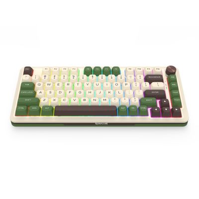 3. REDRAGON K681CGC-RGB-PRO Cyrus Tastatur USB + RF Wireless + Bluetooth Weiß, Grün