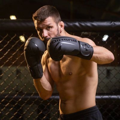 3. 10oz Boxhandschuhe - Raptor - Origin Series