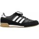 2. Adidas Mundial Goal IN 019310 indoor shoes