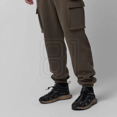 3. Outhorn M513 M OTHAW23TTROM513 43S pants