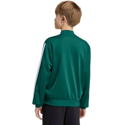 5. adidas Essentials Climacool Grünes Kinder-Sweatshirt KR2147
