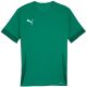 3. Puma teamGoal Spieltagstrikot M 705747 05
