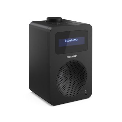 3. Sharp DR-430 Digitalkamera, Schwarz