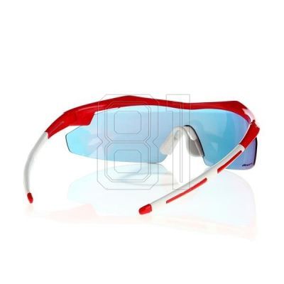 4. Goggle E690-3 Sonnenbrille