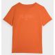 T-shirt 4F M 4FAW23TTSHM0865-70S