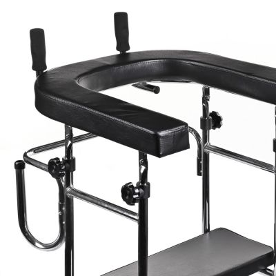 2. Hoher Rehabilitationsrollator, Pulttyp
