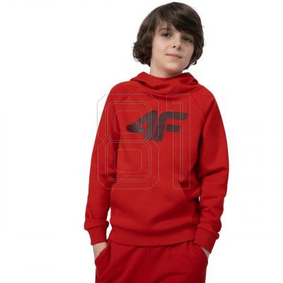 4. 4F Jr Sweatshirt 4FJSS23TSWSM220 62S