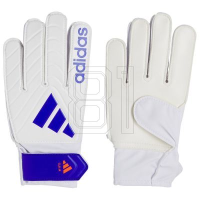 adidas Copa GL CL Jr IX3834 Torwarthandschuhe
