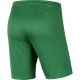 2. Nike Dry Park III NB KM BV6855 302 Shorts