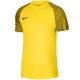 3. Nike Df Academy Jsy SS Jr T-Shirt DH8369 719