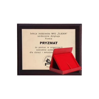 3. Kunststoffrückseite mit gravierter Laminierung + Gehäuse 275 x 220 mm