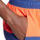 6. adidas Colorblock CLX M IT8597 Shorts