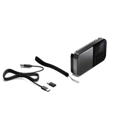6. Sharp DR-P520 Personal Digital Grau