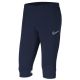 Nike Dry Academy 21 3/4 Hose Jr CW6127 451