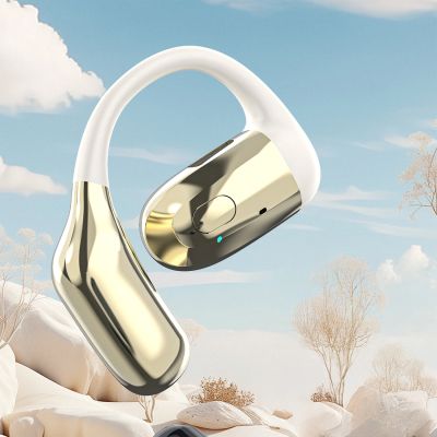 2. Dudao U4Pro Bluetooth Universal-Over-Ear-Headset für beide Ohren – Beige und Gold