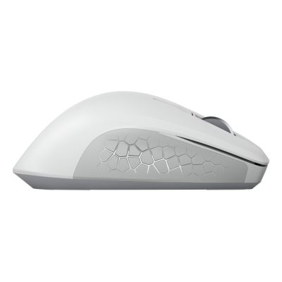 6. CHERRY JW-8550-0 Universalmaus für Rechtshänder, kabellos, optisch, 4000 DPI