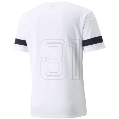 2. Puma teamRISE Trikot M 704932 04